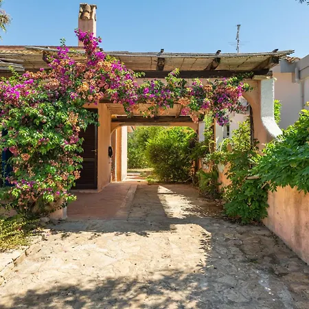 Le Palme By Interhome *